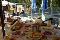 Clicca sulla foto per vedere ingrandimento